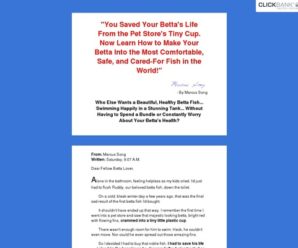 Betta Fish – Learn How to Give Your Betta a Great Life!