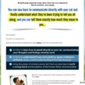 Brand New! Cat Language Bible ™ How To Finally Speak Cat!