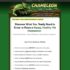 Chameleon Care Guide – Keeping and Breeding Healthy Chameleons Made Easy!