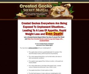 Crested Gecko Secret Manual- Crested Gecko Care