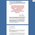 Pet Rats – Guide to Easy Pet Rat Care and Training