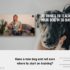 Digital Dog Training Course: 30 Things To Teach Your Dog In 30 Days