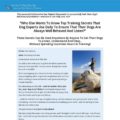 Secrets To Dog Training: Stop Your Dog’s Behavior Problems!